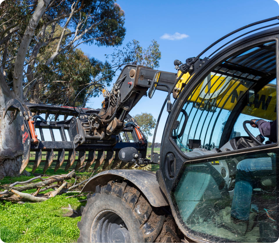 See it. Snap it. Map it.